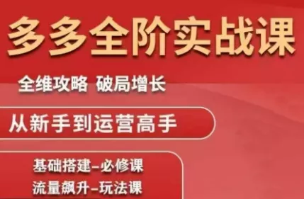 大炮·拼多多全阶实战课程(更新2026)