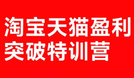 玺承·淘宝天猫盈利突破特训营(25年12月线下课)【音频+字幕】