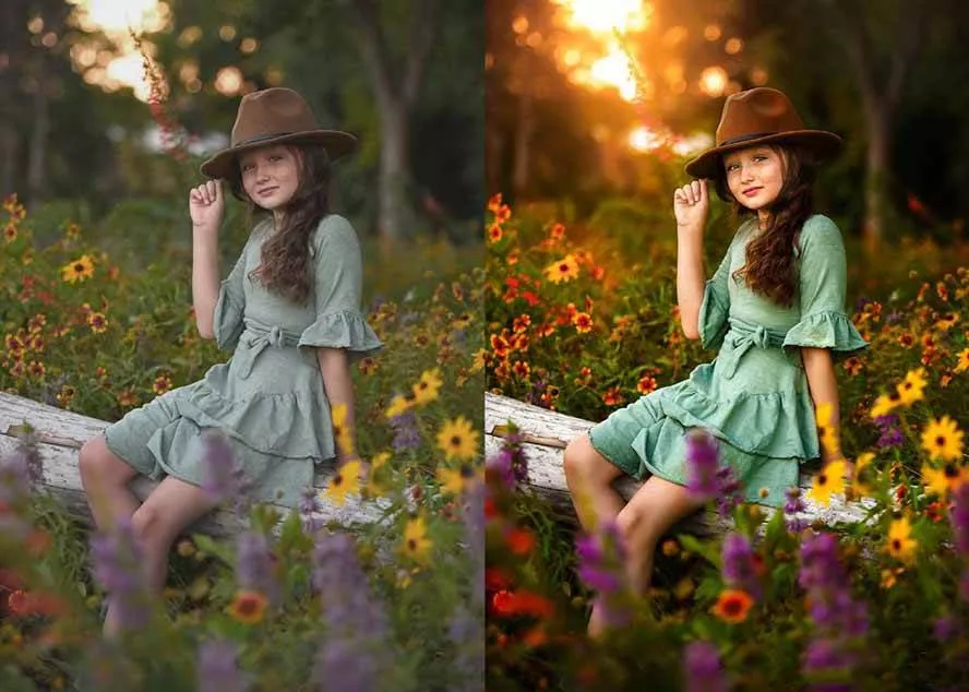 (17403期)大师级GTG出品-老友记系列AI自适应预设The Friends Preset Collection (17403期)大师级GTG出品-老友记系列AI自适应预设The Friends Preset Collection