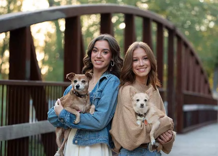 (17403期)大师级GTG出品-老友记系列AI自适应预设The Friends Preset Collection (17403期)大师级GTG出品-老友记系列AI自适应预设The Friends Preset Collection