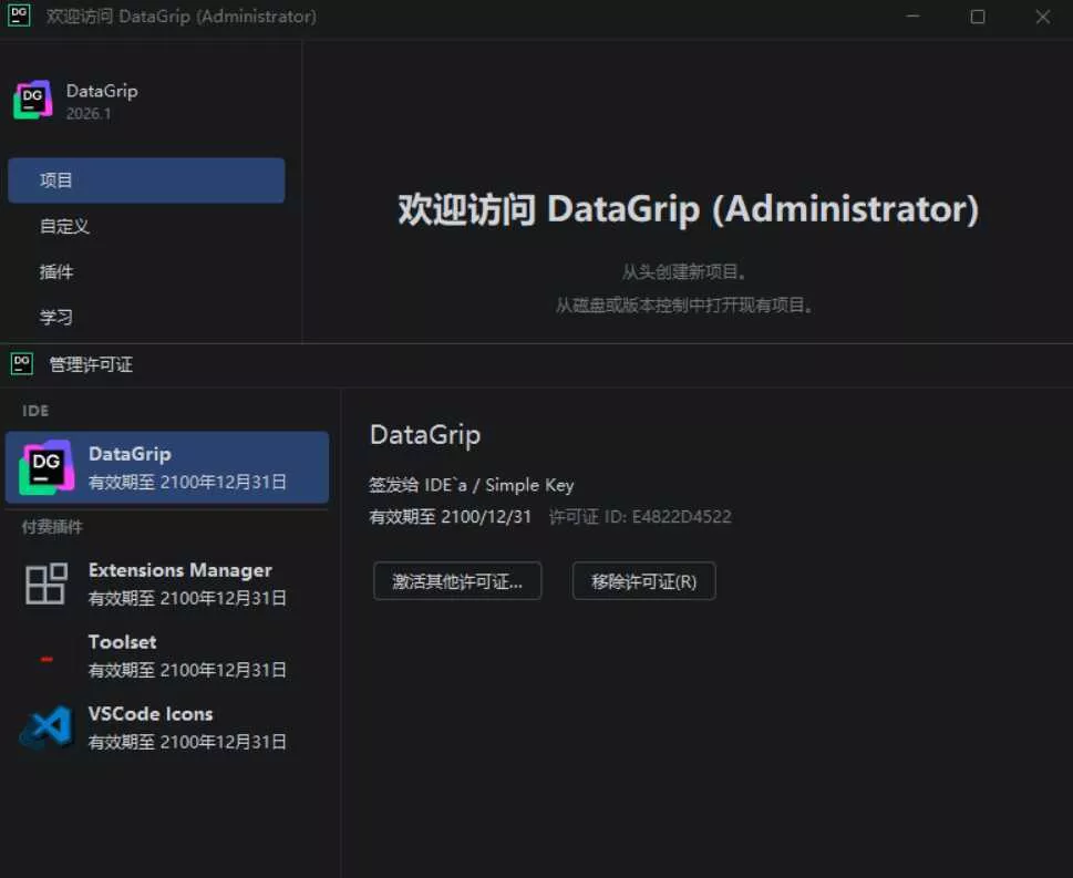DataGrip v2026.1.0 高级版 DataGrip v2026.1.0 高级版