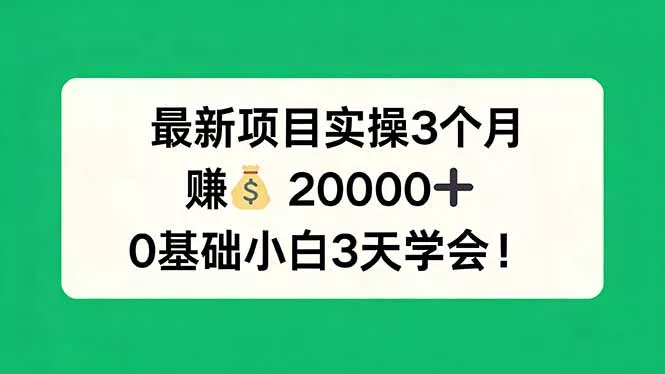 最新项目实操3个月，赚钱20000+，0基础小白3天学会！