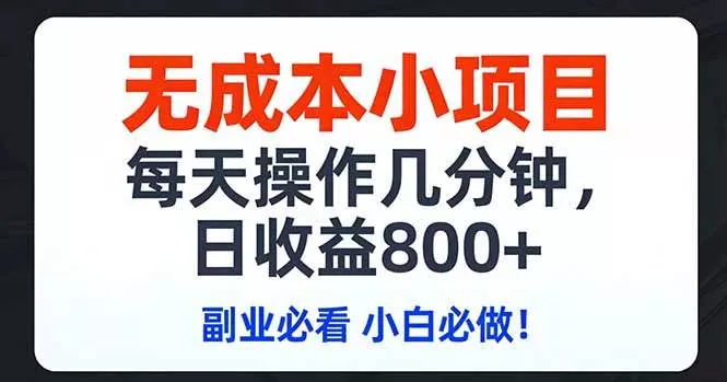 （17447期）无成本小项目,每天操作几分钟,日收益800+ 副业必看 小白必做！