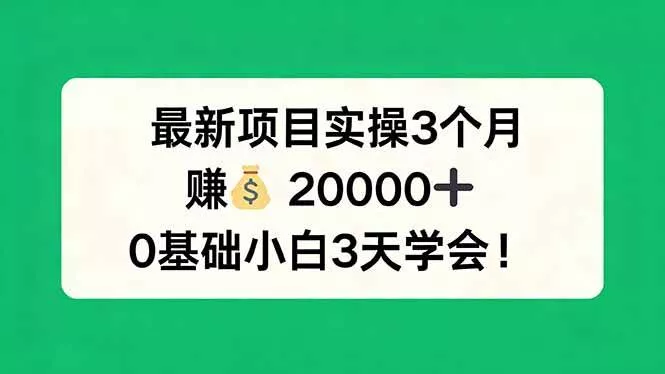 （17856期）最新项目实操3个月，赚钱20000+，0基础小白3天学会！