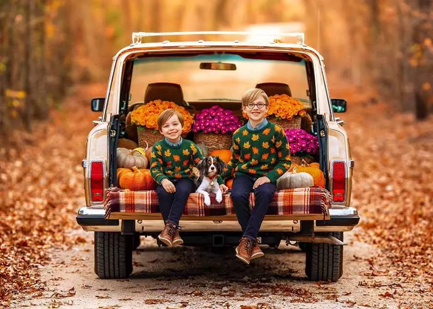 (17403期)大师级GTG出品-老友记系列AI自适应预设The Friends Preset Collection (17403期)大师级GTG出品-老友记系列AI自适应预设The Friends Preset Collection