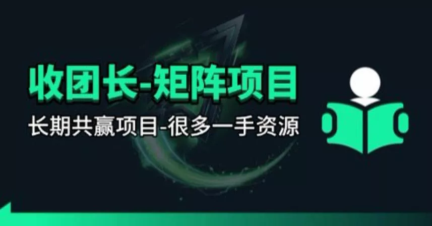 【团长合作】视频矩阵项目_招发手矩阵+剪辑师，共赢项目【揭秘】