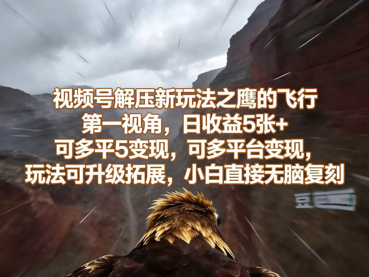 视频号解压新玩法之鹰的飞行第一视角，日收益5张+，可多平台变现，玩法可升级拓展，小白直接无脑复刻