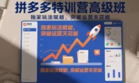 拼多多特训营高阶班,独家玩法赋能,突破运营天花板(更新26年3月19日)