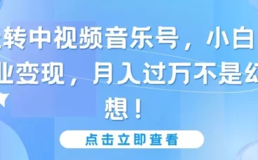 玩转中视频音乐号,小白副业变现,月入过万不是幻想!