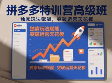 拼多多特训营高阶班,独家玩法赋能,突破运营天花板(更新26年3月19日)