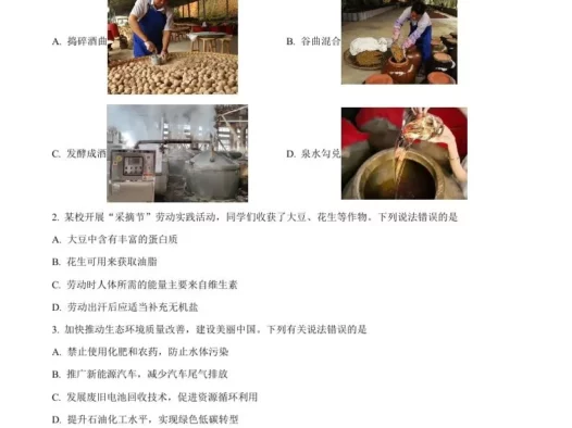 2024年安徽省中考化学真题（空白卷）