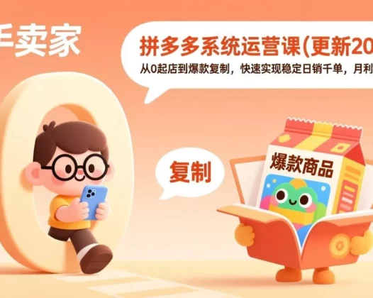 拼多多系统运营课(更新2026